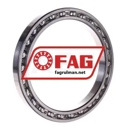 FAG 61830