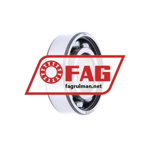 FAG 6004 ürün fotoğrafı 5