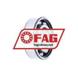 FAG 6004 rulman resim 5