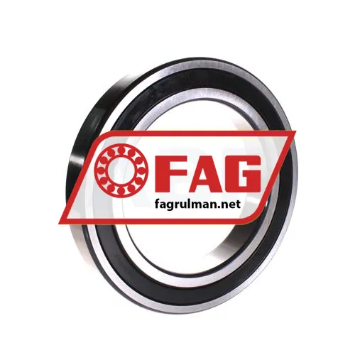 FAG 6030-2RSR