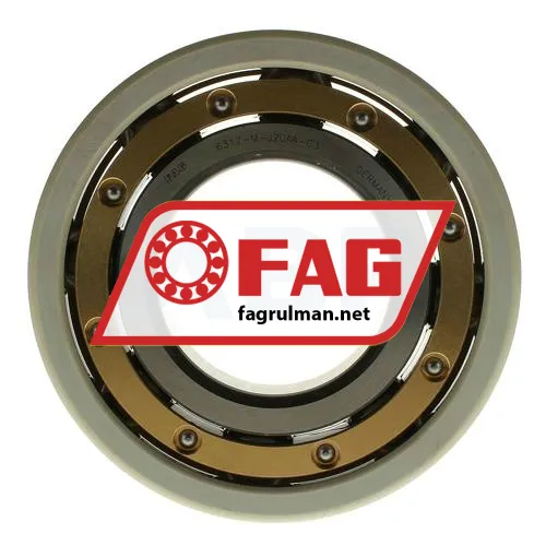FAG 6317-M-C3-J20AA ürün fotoğrafı 3