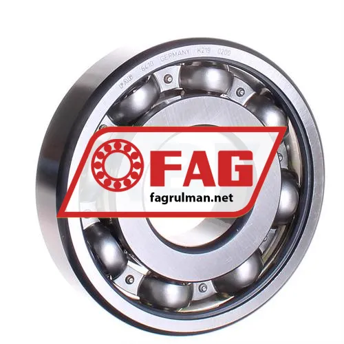 FAG 6410