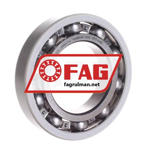 FAG 6214-J20AA-C4
