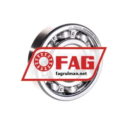 FAG 6310-C-C4