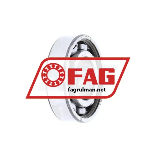 FAG 16002