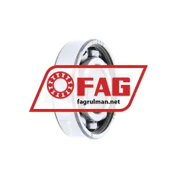 FAG 16002