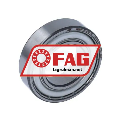 FAG 6005-C-2Z-L207-C3>V