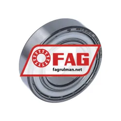 FAG 6005-C-2Z-L207-C3>V