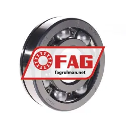 FAG 6409N