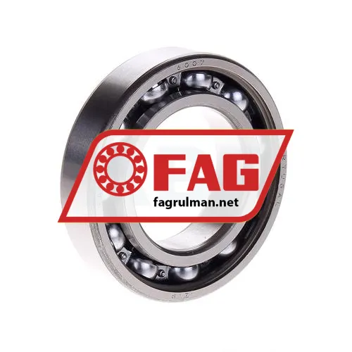 FAG 6007ZR