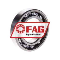 FAG 6007ZR