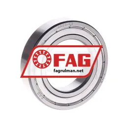 FAG 6007-2ZR-C3
