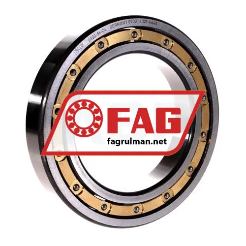 FAG 16022-C4