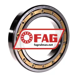 FAG 16022-C4