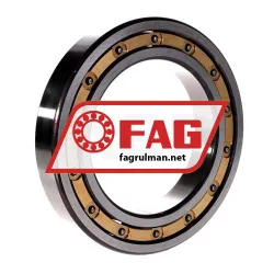 FAG 16022-C4 rulman resim 2