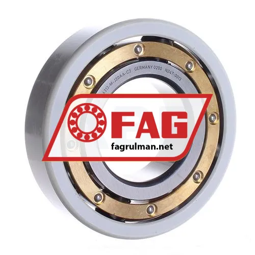 FAG 6313-M-J20AA-C3