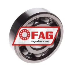 FAG 6305