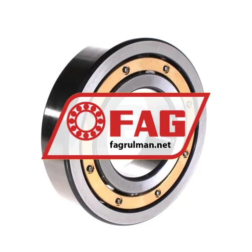 FAG 6313-M-C3 ürün fotoğrafı 2
