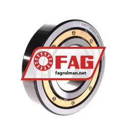 FAG 6313-M-C3