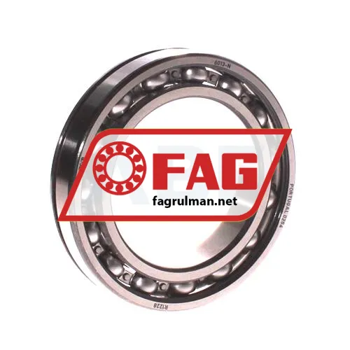 FAG 6013-N
