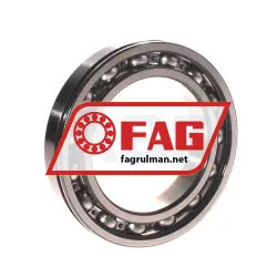 FAG 6013-N rulman resim 2