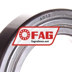 FAG 6013-2ZR rulman resim 2