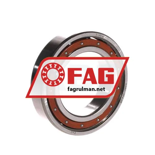 FAG 6009-TB-P6-C3