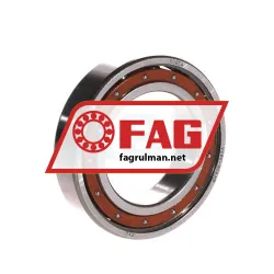 FAG 6009-TB-P6-C3