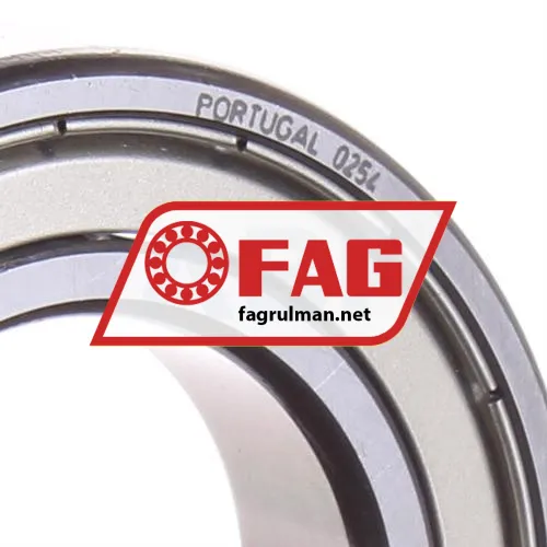 FAG 6007-Z ürün fotoğrafı 2