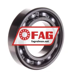 FAG 6007-Z rulman resim 3