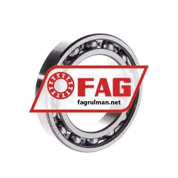FAG 6014-J22R