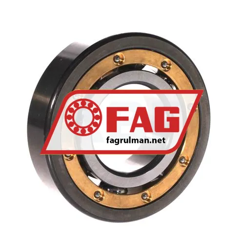 FAG 6310MA