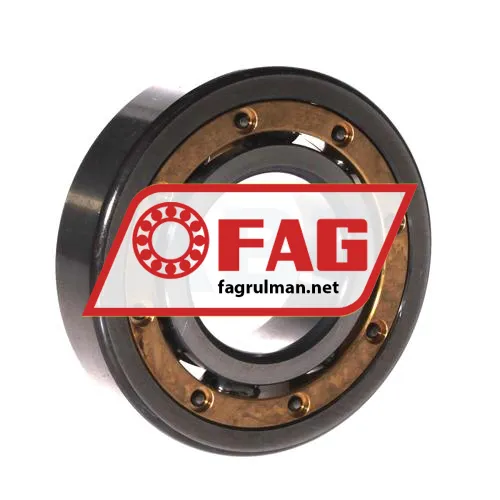 FAG 6310MA ürün fotoğrafı 2