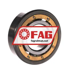 FAG 6310MA