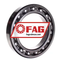FAG 6021-C3