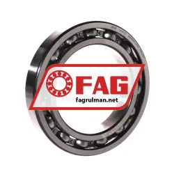 FAG 6019-C3