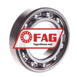 FAG 6007-C3