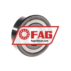 FAG 6306-2Z-L038-C3