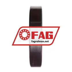 FAG 6217-Z rulman resim 4