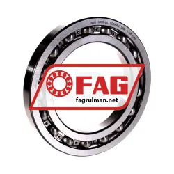 FAG 16018-C4