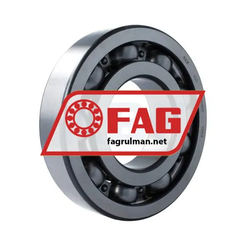 FAG 6221