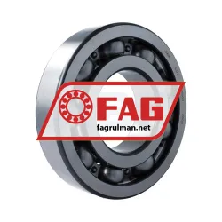 FAG 6221