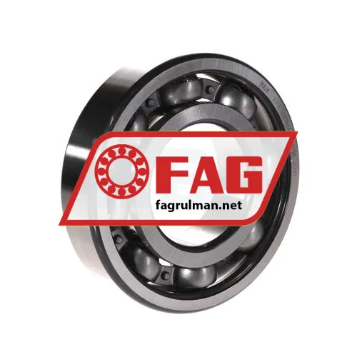 FAG 6313