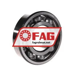 FAG 6313