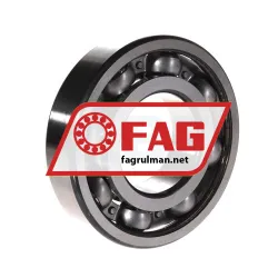 FAG 6313 rulman resim 2