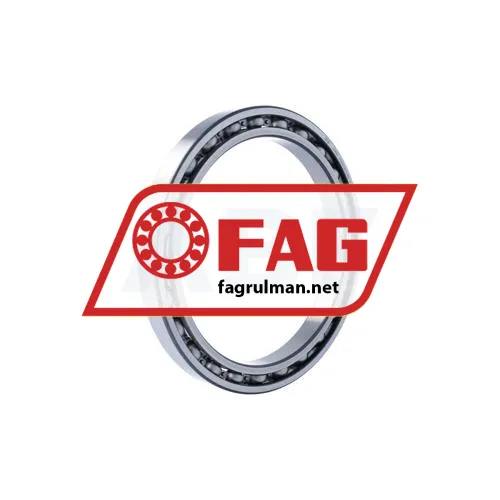 FAG 61834