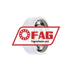 FAG 608