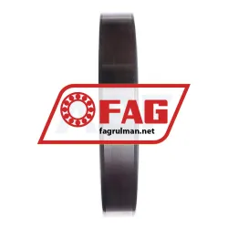 FAG 6034 rulman resim 3