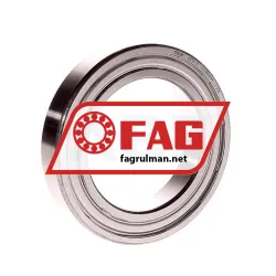 FAG 6013-Z