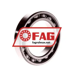 FAG 6013-Z rulman resim 2